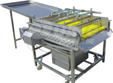 紅薯清洗設(shè)備 清洗設(shè)備 諸城瑞和食品機械公司 圖 高清圖片 高清大圖