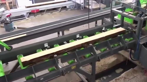 機(jī)械化木材加工廠 樹干到木板的現(xiàn)代技術(shù)革新