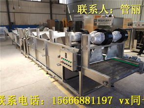 蔬菜加工機(jī)械全攻略 菠菜、腌黃瓜與野菜清洗設(shè)備的應(yīng)用